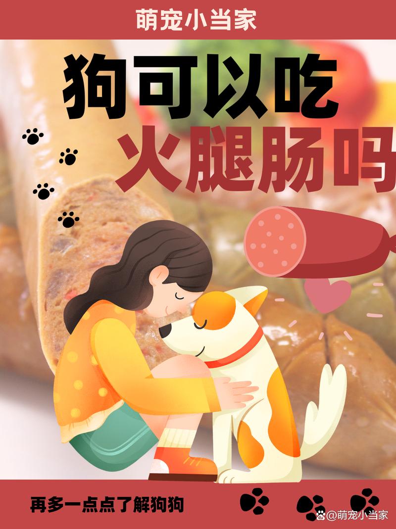 狗狗能吃火腿吗,狗狗能吃火腿肠吗-第5张图片-后鲨宠物 狗狗能吃火腿吗,狗狗能吃火腿肠吗-第5张图片-后鲨宠物