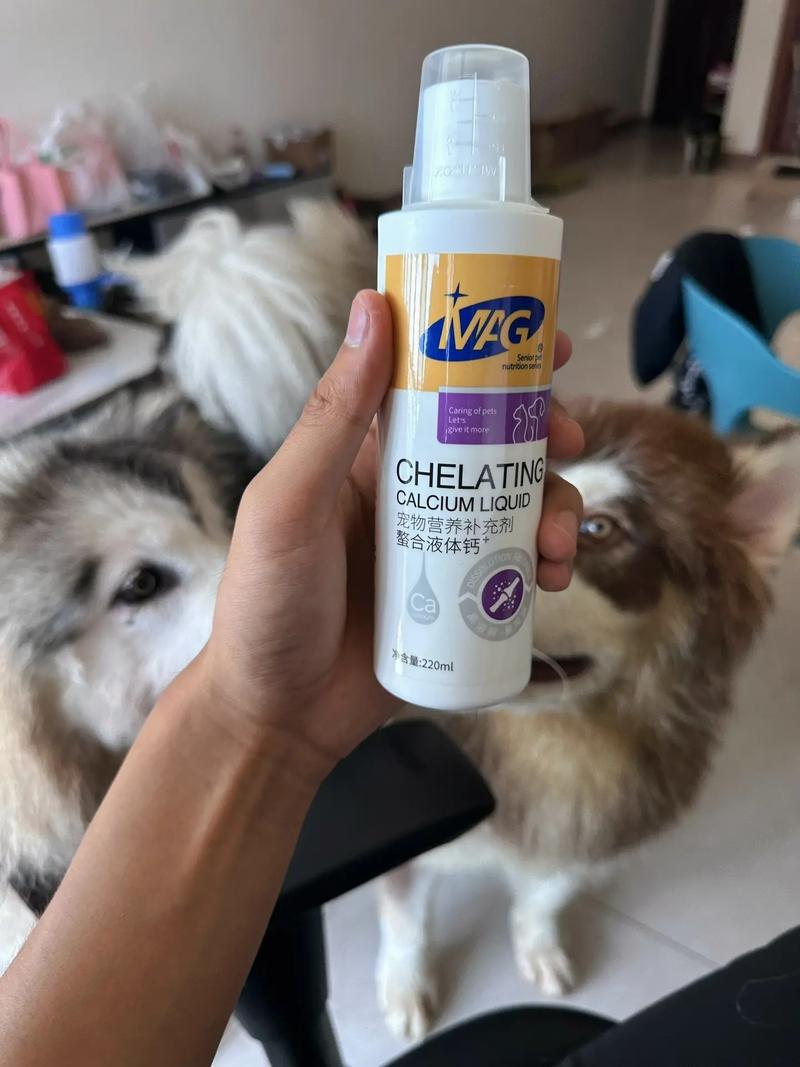 狗狗可以吃儿童钙片吗_狗吃儿童钙片管用吗-第4张图片-后鲨宠物 狗狗可以吃儿童钙片吗_狗吃儿童钙片管用吗-第4张图片-后鲨宠物