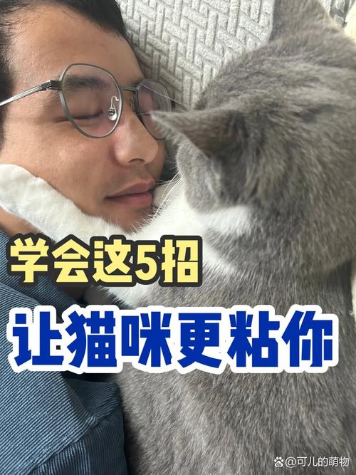 猫咪突然很粘人还呼噜,猫咪突然很粘人还呼噜呼噜的叫?-第4张图片-后鲨宠物 猫咪突然很粘人还呼噜,猫咪突然很粘人还呼噜呼噜的叫?-第4张图片-后鲨宠物