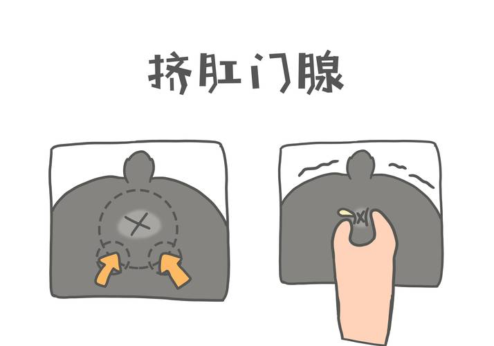 怎么给狗狗挤肛门腺_宠物美容师分享如何给狗狗挤肛门腺,简单易学又实用-第1张图片-后鲨宠物 怎么给狗狗挤肛门腺_宠物美容师分享如何给狗狗挤肛门腺,简单易学又实用-第1张图片-后鲨宠物