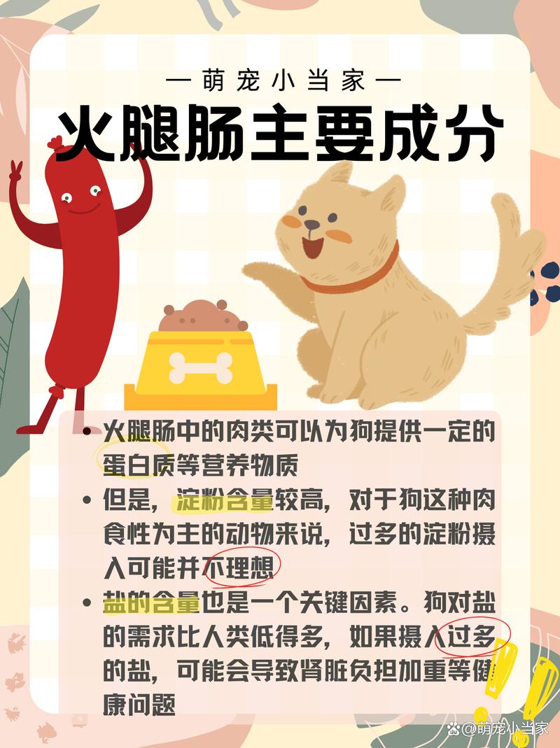 狗狗能吃人吃的火腿肠吗_狗能不能吃人吃的火腿肠-第4张图片-后鲨宠物 狗狗能吃人吃的火腿肠吗_狗能不能吃人吃的火腿肠-第4张图片-后鲨宠物