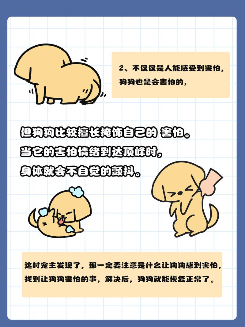 为什么狗狗会发抖,为什么狗狗会发抖吐舌头喘气-第2张图片-后鲨宠物 为什么狗狗会发抖,为什么狗狗会发抖吐舌头喘气-第2张图片-后鲨宠物