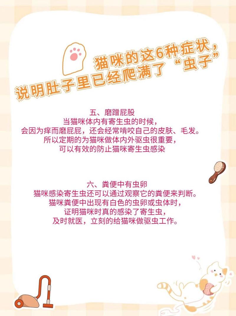 怎么判断猫咪体内有虫,怎么判断猫肚子有毛球?-第4张图片-后鲨宠物 怎么判断猫咪体内有虫,怎么判断猫肚子有毛球?-第4张图片-后鲨宠物