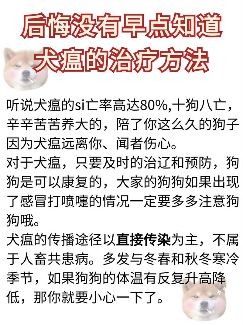 狗狗犬瘟怎么办_狗狗犬瘟的前兆怎么样的-第2张图片-后鲨宠物 狗狗犬瘟怎么办_狗狗犬瘟的前兆怎么样的-第2张图片-后鲨宠物