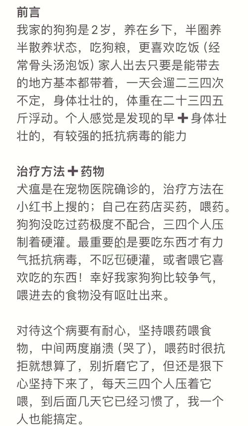 狗狗犬瘟怎么办_狗狗犬瘟的前兆怎么样的-第3张图片-后鲨宠物 狗狗犬瘟怎么办_狗狗犬瘟的前兆怎么样的-第3张图片-后鲨宠物