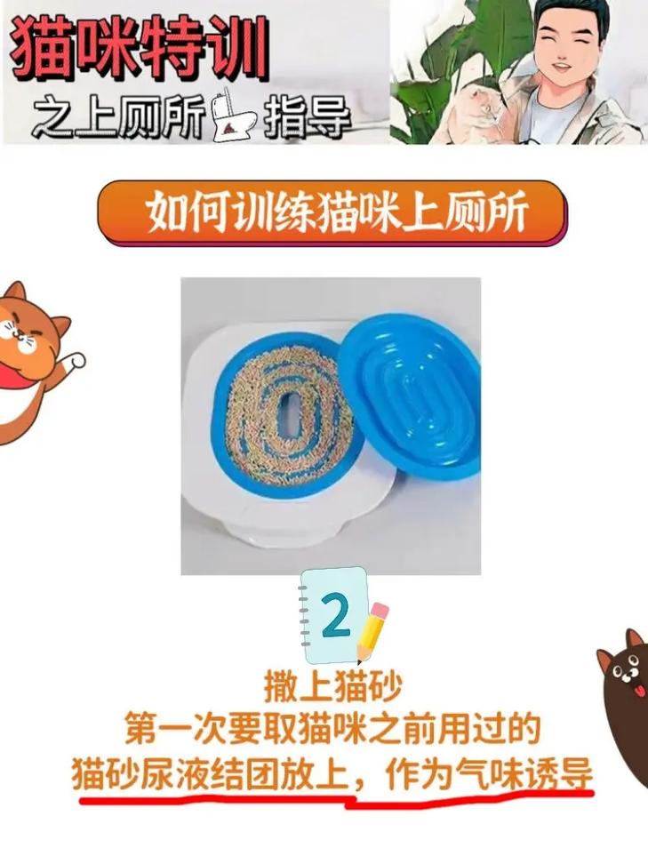 怎么教猫咪用马桶,如何教猫用马桶-第1张图片-后鲨宠物 怎么教猫咪用马桶,如何教猫用马桶-第1张图片-后鲨宠物