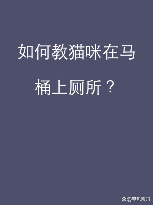 怎么教猫咪用马桶,如何教猫用马桶-第2张图片-后鲨宠物 怎么教猫咪用马桶,如何教猫用马桶-第2张图片-后鲨宠物
