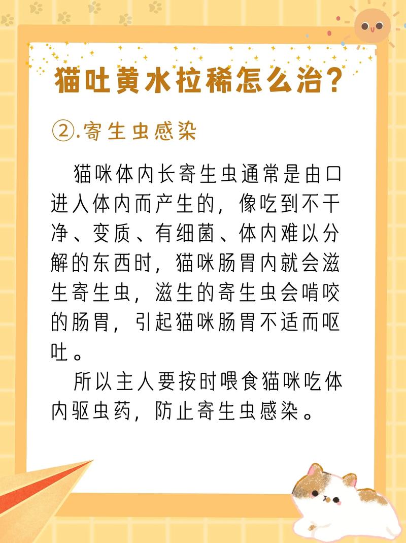 猫咪吐黄水能自己好吗_猫喝了一滴藿香正气水会怎样-第5张图片-后鲨宠物 猫咪吐黄水能自己好吗_猫喝了一滴藿香正气水会怎样-第5张图片-后鲨宠物