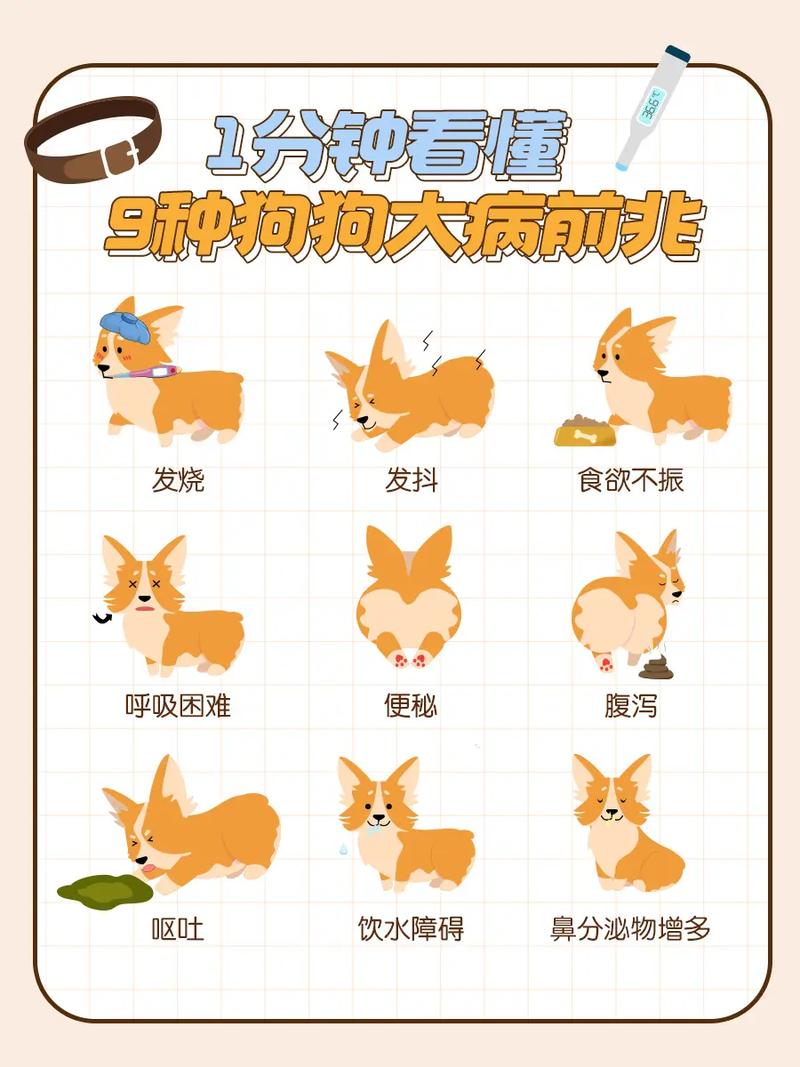 狗狗发烧有哪些症状,狗狗感冒了是什么症状-第5张图片-后鲨宠物 狗狗发烧有哪些症状,狗狗感冒了是什么症状-第5张图片-后鲨宠物