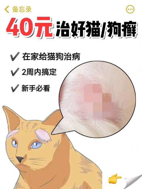 柴油能治狗狗皮肤病吗_柴油对狗狗皮肤的作用-第5张图片-后鲨宠物 柴油能治狗狗皮肤病吗_柴油对狗狗皮肤的作用-第5张图片-后鲨宠物