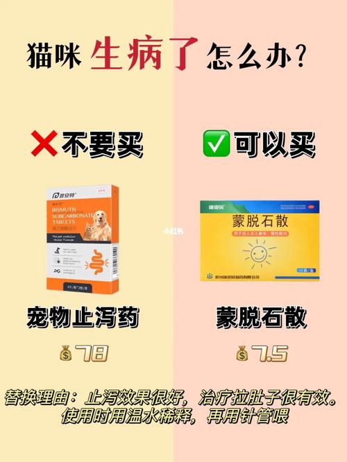 猫咪拉稀吃什么_猫咪拉稀吃什么猫粮比较好-第1张图片-后鲨宠物