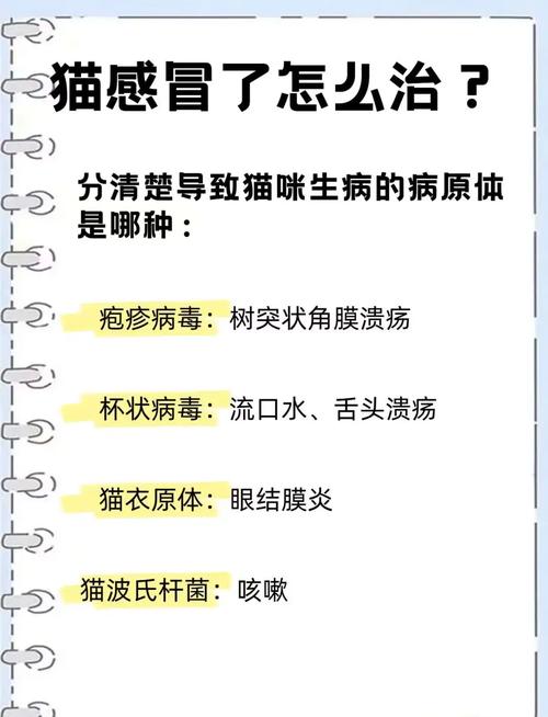 猫咪打喷嚏能自己好吗_猫打喷嚏可以自愈吗-第4张图片-后鲨宠物 猫咪打喷嚏能自己好吗_猫打喷嚏可以自愈吗-第4张图片-后鲨宠物