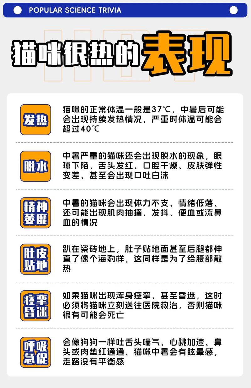 如何知道猫咪发烧,怎么能知道猫发烧?-第3张图片-后鲨宠物 如何知道猫咪发烧,怎么能知道猫发烧?-第3张图片-后鲨宠物