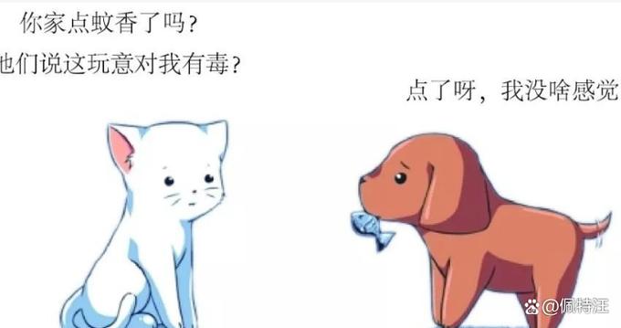 点蚊香对狗狗有害吗,点蚊香会对狗狗有影响吗?-第5张图片-后鲨宠物 点蚊香对狗狗有害吗,点蚊香会对狗狗有影响吗?-第5张图片-后鲨宠物