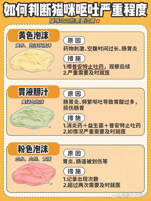 猫咪拉肚子呕吐是怎么回事_猫猫拉肚子呕吐怎么办-第2张图片-后鲨宠物 猫咪拉肚子呕吐是怎么回事_猫猫拉肚子呕吐怎么办-第2张图片-后鲨宠物