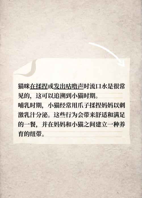 猫咪老是流口水,猫咪老是流口水吃什么药-第1张图片-后鲨宠物 猫咪老是流口水,猫咪老是流口水吃什么药-第1张图片-后鲨宠物