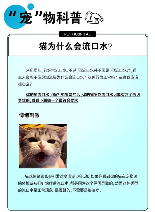 猫咪老是流口水,猫咪老是流口水吃什么药-第5张图片-后鲨宠物 猫咪老是流口水,猫咪老是流口水吃什么药-第5张图片-后鲨宠物
