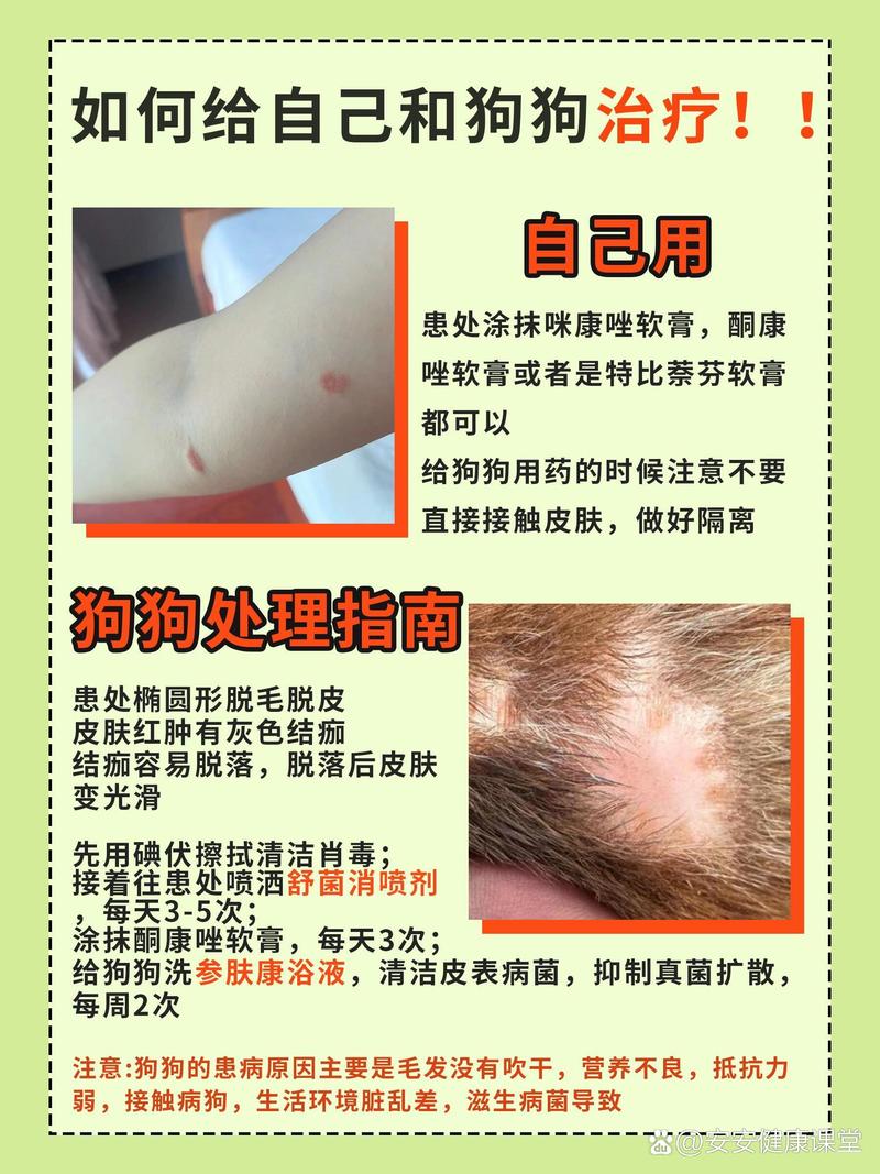 狗狗球虫病会传染人吗,狗狗球虫病会传染人吗视频?-第3张图片-后鲨宠物 狗狗球虫病会传染人吗,狗狗球虫病会传染人吗视频?-第3张图片-后鲨宠物