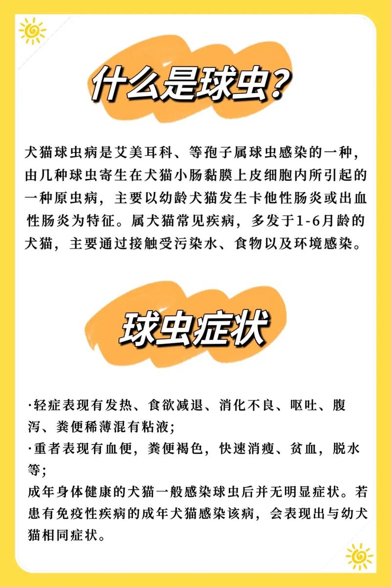 狗狗球虫病会传染人吗,狗狗球虫病会传染人吗视频?-第4张图片-后鲨宠物 狗狗球虫病会传染人吗,狗狗球虫病会传染人吗视频?-第4张图片-后鲨宠物