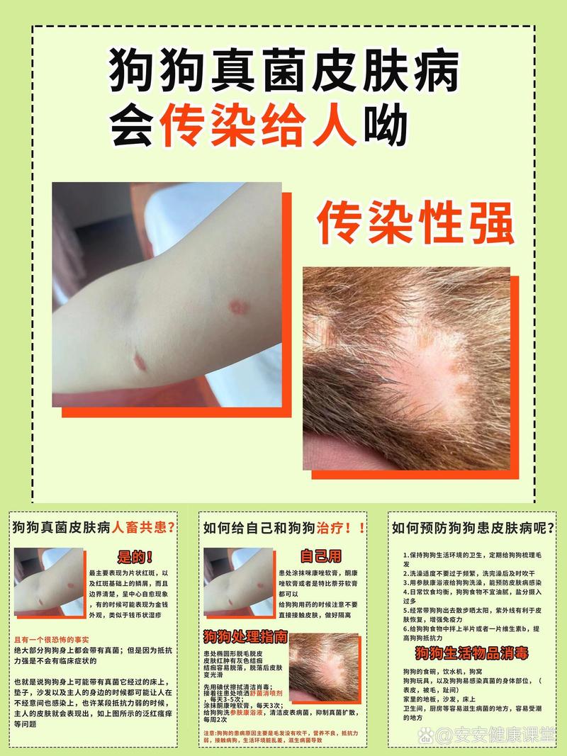 狗狗球虫病会传染人吗,狗狗球虫病会传染人吗视频?-第5张图片-后鲨宠物 狗狗球虫病会传染人吗,狗狗球虫病会传染人吗视频?-第5张图片-后鲨宠物