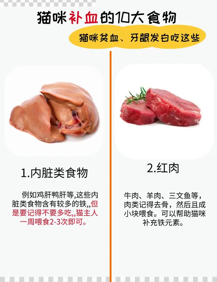 猫咪补血吃什么比较好_猫咪补血吃什么比较好自制-第1张图片-后鲨宠物 猫咪补血吃什么比较好_猫咪补血吃什么比较好自制-第1张图片-后鲨宠物
