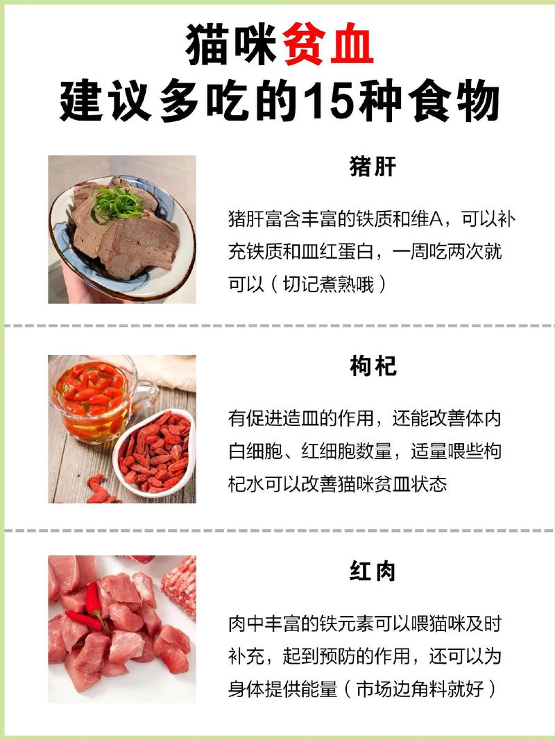 猫咪补血吃什么比较好_猫咪补血吃什么比较好自制-第6张图片-后鲨宠物 猫咪补血吃什么比较好_猫咪补血吃什么比较好自制-第6张图片-后鲨宠物