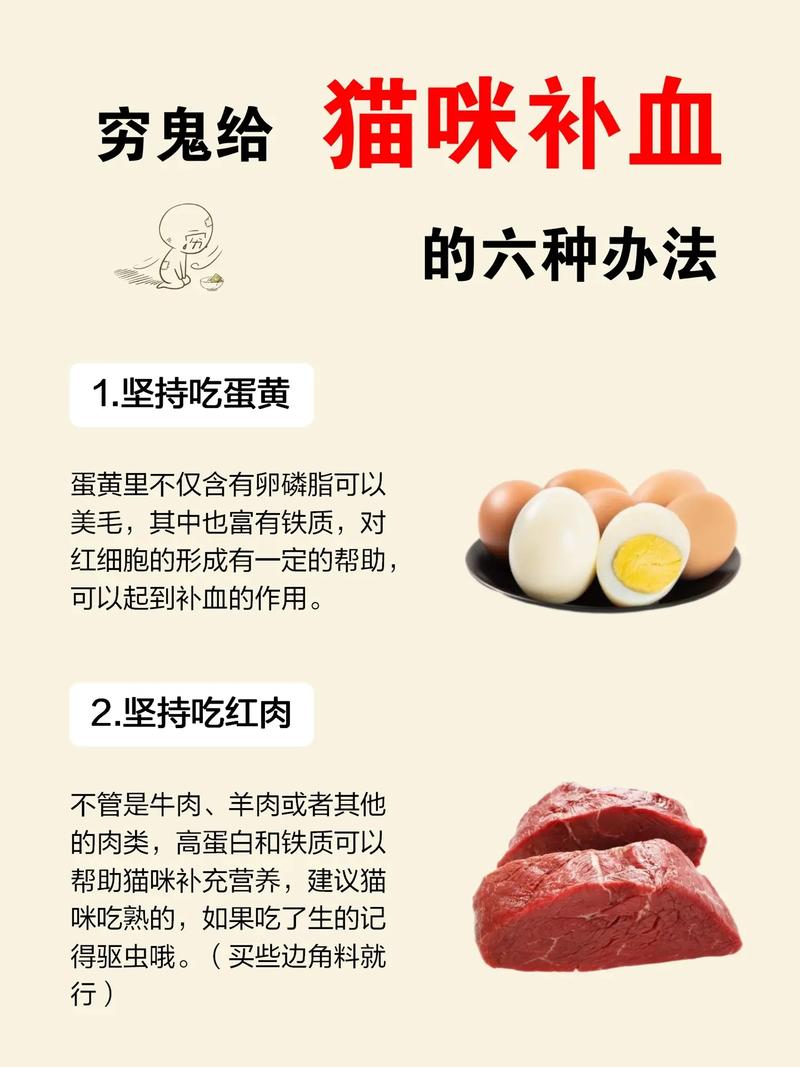 猫咪补血吃什么比较好_猫咪补血吃什么比较好自制-第5张图片-后鲨宠物 猫咪补血吃什么比较好_猫咪补血吃什么比较好自制-第5张图片-后鲨宠物