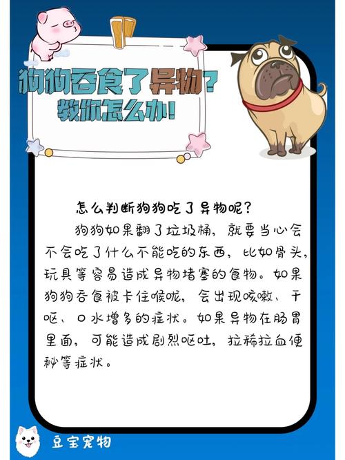 狗狗卡骨头了怎么办,狗狗卡着骨头了怎么办-第5张图片-后鲨宠物 狗狗卡骨头了怎么办,狗狗卡着骨头了怎么办-第5张图片-后鲨宠物