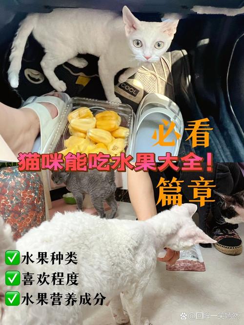 猫咪能吃木瓜吗，猫咪可以吃木瓜嘛？-第3张图片-后鲨宠物