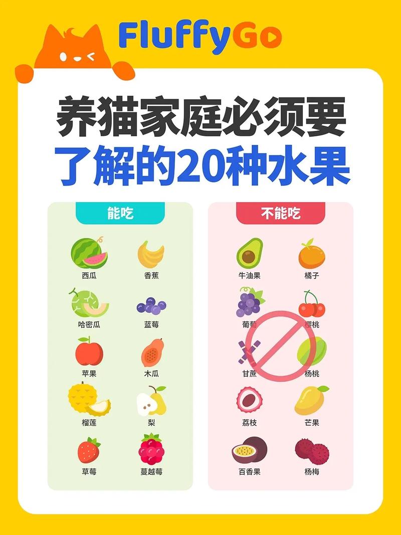猫咪能吃木瓜吗，猫咪可以吃木瓜嘛？-第5张图片-后鲨宠物
