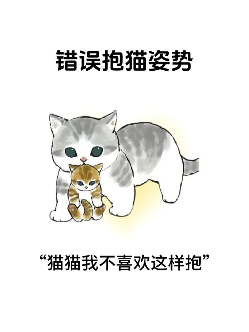猫咪不喜欢被抱_猫咪不喜欢被抱着睡觉-第1张图片-后鲨宠物 猫咪不喜欢被抱_猫咪不喜欢被抱着睡觉-第1张图片-后鲨宠物