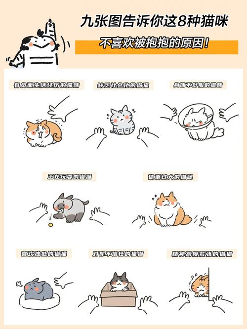 猫咪不喜欢被抱_猫咪不喜欢被抱着睡觉-第2张图片-后鲨宠物 猫咪不喜欢被抱_猫咪不喜欢被抱着睡觉-第2张图片-后鲨宠物