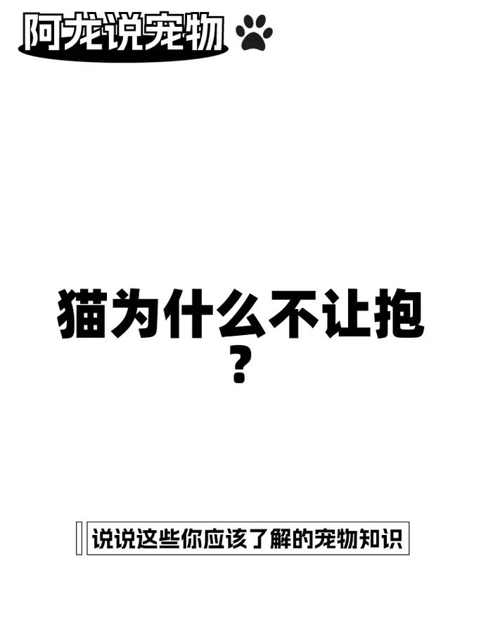 猫咪不喜欢被抱_猫咪不喜欢被抱着睡觉-第3张图片-后鲨宠物 猫咪不喜欢被抱_猫咪不喜欢被抱着睡觉-第3张图片-后鲨宠物
