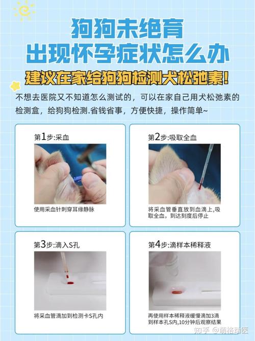 狗狗多大做绝育,狗狗多大去绝育?-第1张图片-后鲨宠物 狗狗多大做绝育,狗狗多大去绝育?-第1张图片-后鲨宠物