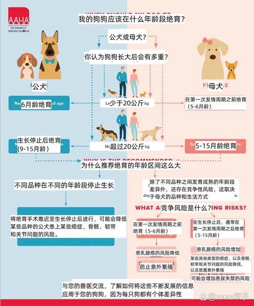 狗狗多大做绝育,狗狗多大去绝育?-第4张图片-后鲨宠物 狗狗多大做绝育,狗狗多大去绝育?-第4张图片-后鲨宠物