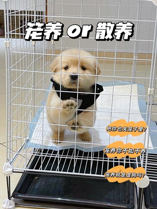 狗狗散养好还是圈养好,宠物狗散养好还是圈养好?-第3张图片-后鲨宠物 狗狗散养好还是圈养好,宠物狗散养好还是圈养好?-第3张图片-后鲨宠物