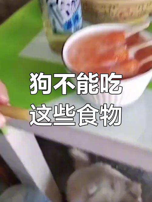 狗狗能吃的东西清单_狗狗能吃的东西清单图-第1张图片-后鲨宠物 狗狗能吃的东西清单_狗狗能吃的东西清单图-第1张图片-后鲨宠物