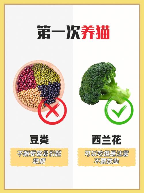 猫咪能吃菠菜吗_猫可以吃菠菜么-第2张图片-后鲨宠物 猫咪能吃菠菜吗_猫可以吃菠菜么-第2张图片-后鲨宠物