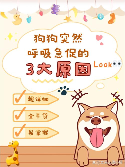 狗狗喘气急促怎么回事_狗狗喘气急促怎么回事啊-第5张图片-后鲨宠物 狗狗喘气急促怎么回事_狗狗喘气急促怎么回事啊-第5张图片-后鲨宠物