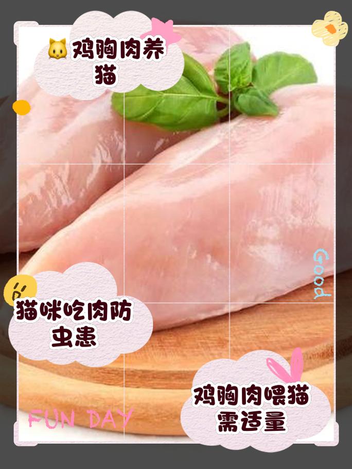 给猫咪吃鸡胸肉优缺点_猫咪吃鸡胸肉有什么用-第5张图片-后鲨宠物 给猫咪吃鸡胸肉优缺点_猫咪吃鸡胸肉有什么用-第5张图片-后鲨宠物