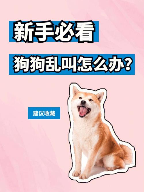 怎样才能让狗狗不乱叫_怎样才能让狗狗不乱叫声-第4张图片-后鲨宠物 怎样才能让狗狗不乱叫_怎样才能让狗狗不乱叫声-第4张图片-后鲨宠物