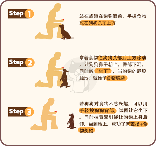 怎么教狗狗坐下_如何教狗狗坐下-第1张图片-后鲨宠物 怎么教狗狗坐下_如何教狗狗坐下-第1张图片-后鲨宠物