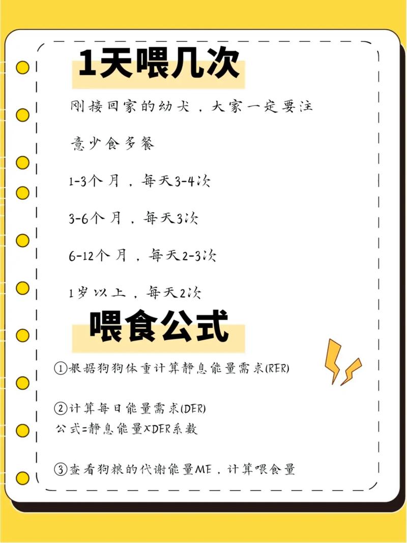肠胃宝怎么喂给狗狗,肠胃宝怎么给狗吃-第2张图片-后鲨宠物 肠胃宝怎么喂给狗狗,肠胃宝怎么给狗吃-第2张图片-后鲨宠物