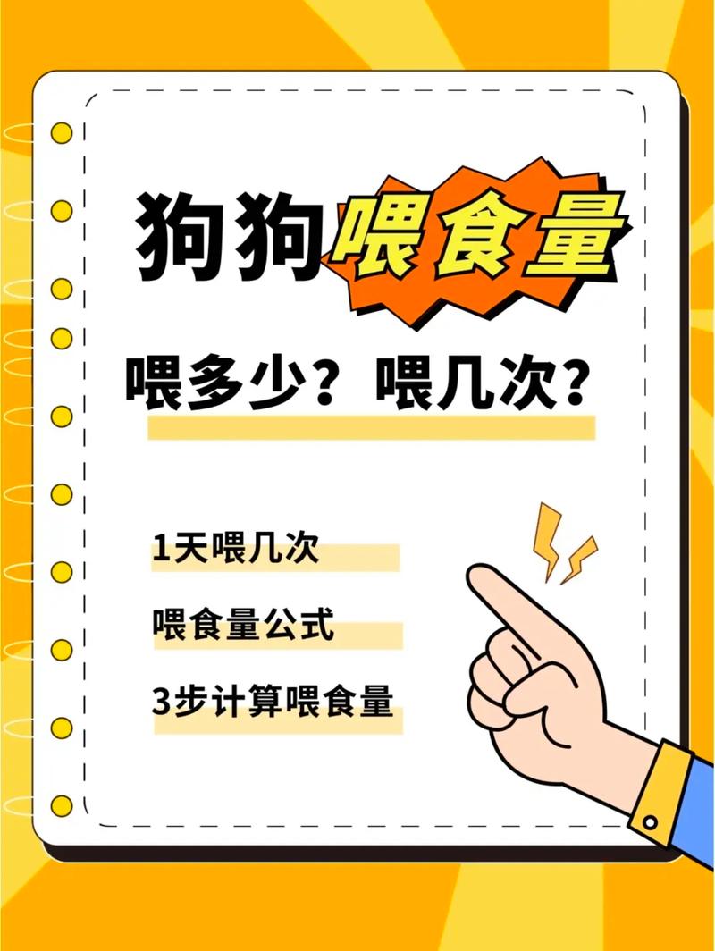肠胃宝怎么喂给狗狗,肠胃宝怎么给狗吃-第3张图片-后鲨宠物 肠胃宝怎么喂给狗狗,肠胃宝怎么给狗吃-第3张图片-后鲨宠物