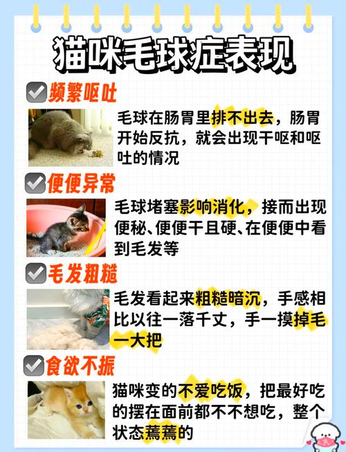 猫咪得了毛球症的症状,猫猫得毛球症是什么症状-第1张图片-后鲨宠物 猫咪得了毛球症的症状,猫猫得毛球症是什么症状-第1张图片-后鲨宠物