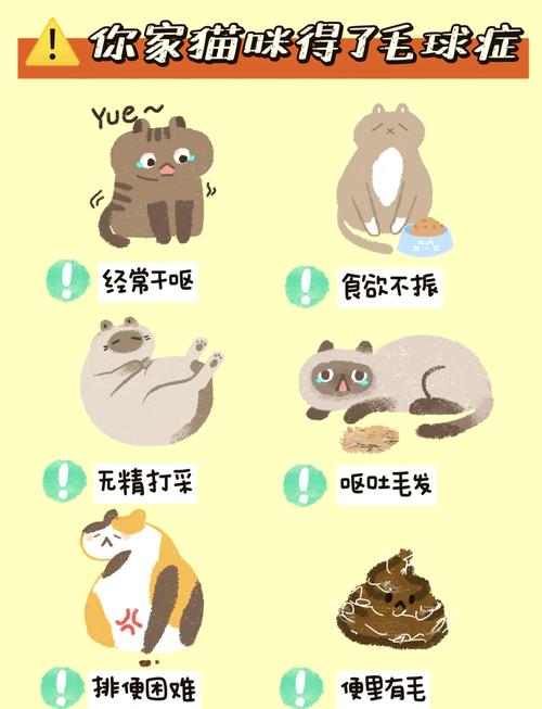 猫咪得了毛球症的症状,猫猫得毛球症是什么症状-第4张图片-后鲨宠物 猫咪得了毛球症的症状,猫猫得毛球症是什么症状-第4张图片-后鲨宠物