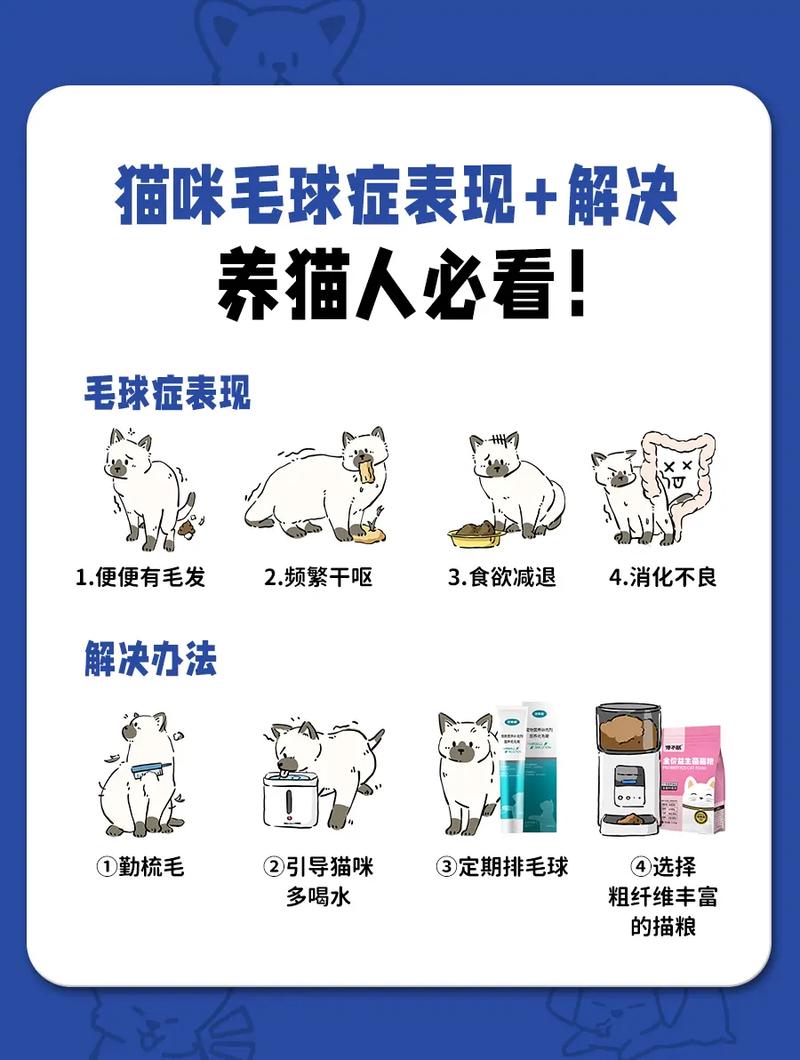 猫咪得了毛球症的症状,猫猫得毛球症是什么症状-第5张图片-后鲨宠物 猫咪得了毛球症的症状,猫猫得毛球症是什么症状-第5张图片-后鲨宠物
