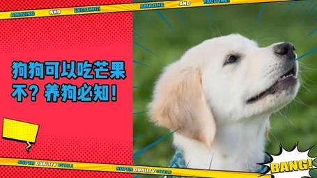 狗狗能吃芒果么_请问狗狗能吃芒果吗-第5张图片-后鲨宠物 狗狗能吃芒果么_请问狗狗能吃芒果吗-第5张图片-后鲨宠物