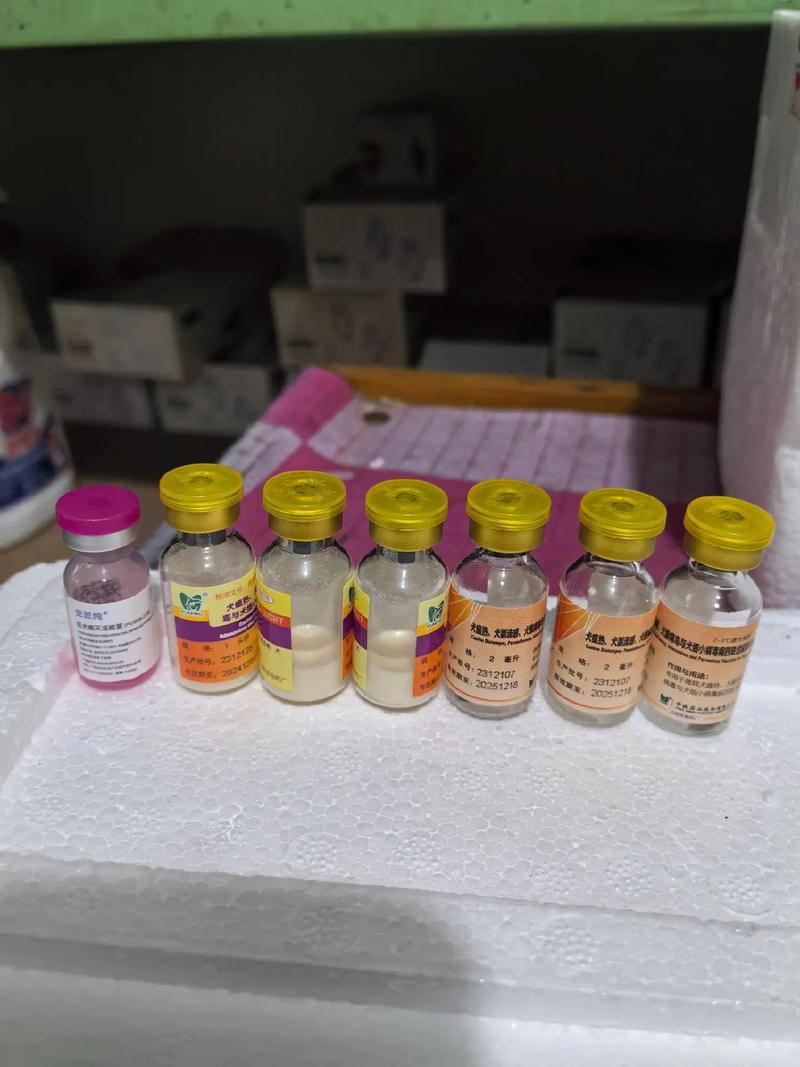 狗狗感冒了打什么针_狗狗感冒打什么针剂-第5张图片-后鲨宠物 狗狗感冒了打什么针_狗狗感冒打什么针剂-第5张图片-后鲨宠物