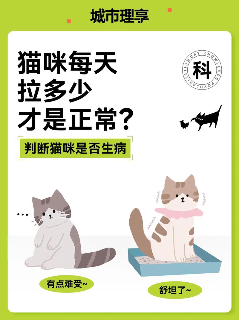 猫猫一天尿几次正常,猫咪一天尿几次正常吗-第5张图片-后鲨宠物 猫猫一天尿几次正常,猫咪一天尿几次正常吗-第5张图片-后鲨宠物